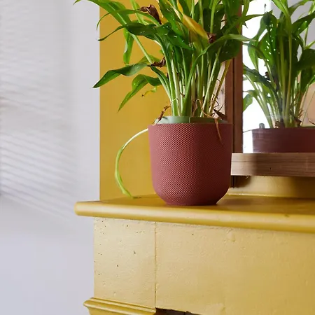 Po'strophe - Batiment Classe Avec Piscine فيلة